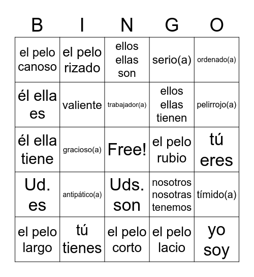 Ser Tener Bingo Card