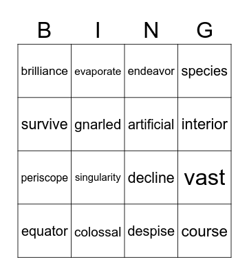 DMS vocabulary BING'O Bingo Card