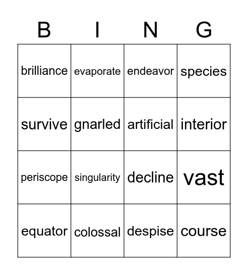 DMS vocabulary BING'O Bingo Card