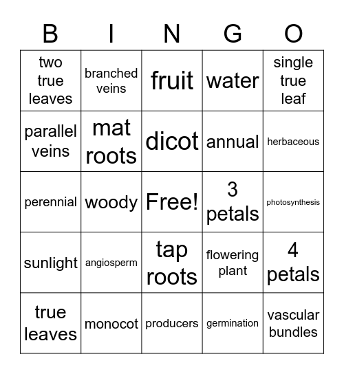 Plant Bingo Card