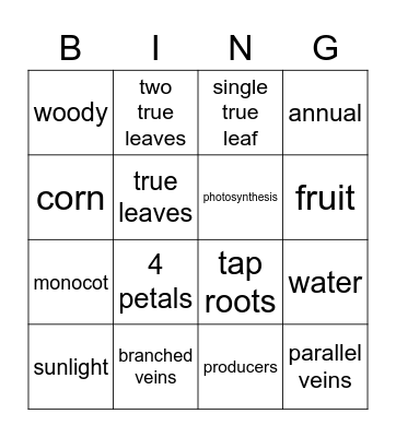 Plant Bingo Card