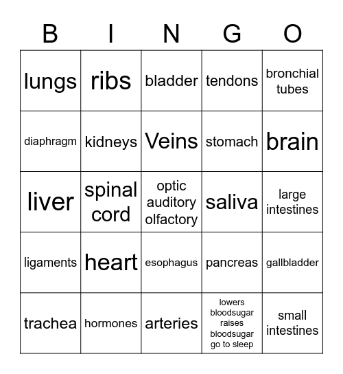 Organs: Human Body Bingo Card