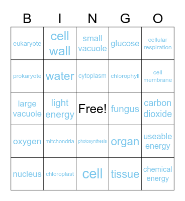 Cells Bingo Card