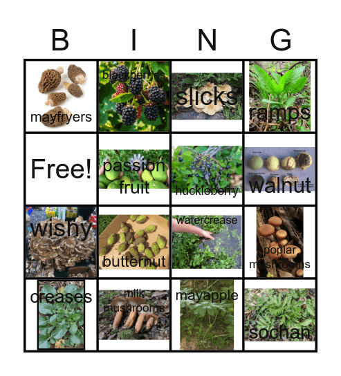 Wild-Spring Foods Bingo Card