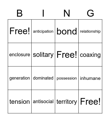 Vocabulary Bingo Card