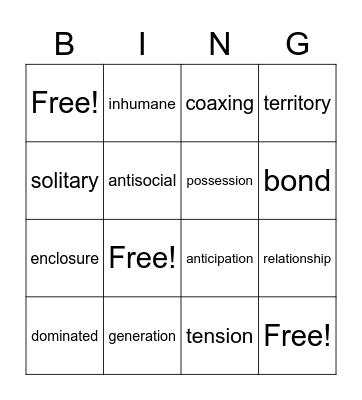 Vocabulary Bingo Card