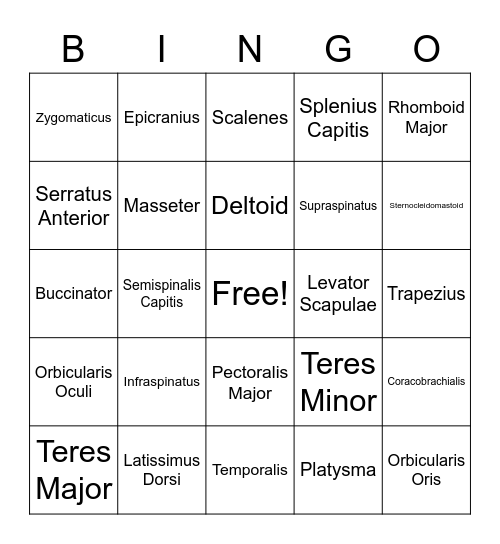 MUSCO List #1 Bingo Card