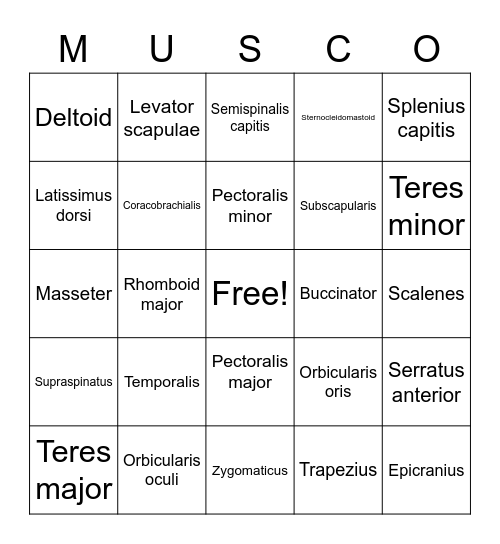 Musco list 1 Bingo Card