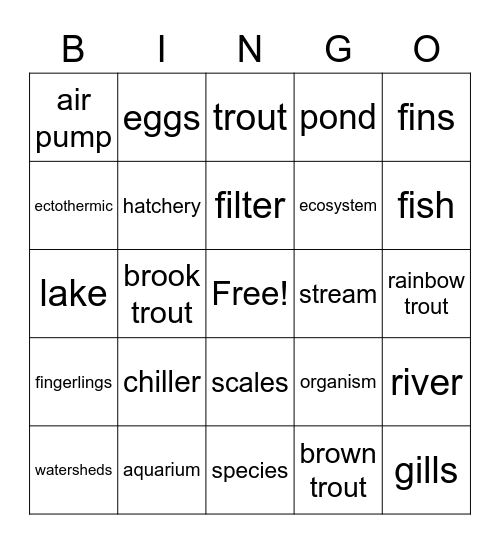 Trout in the Classroom Bingo Card