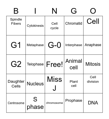 mitosis bingo Card