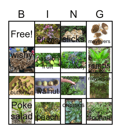 Wild-Spring Foods Bingo Card