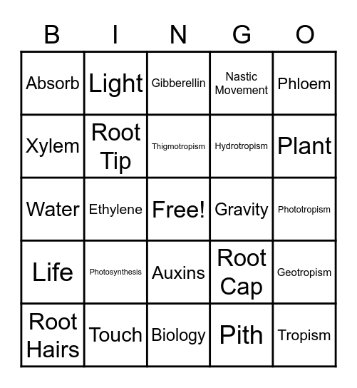 Plant BINGO Card