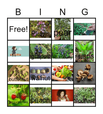 3rd grade Wild-Spring Foods Bingo Card