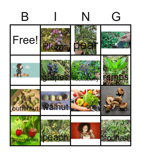 3rd grade Wild-Spring Foods Bingo Card