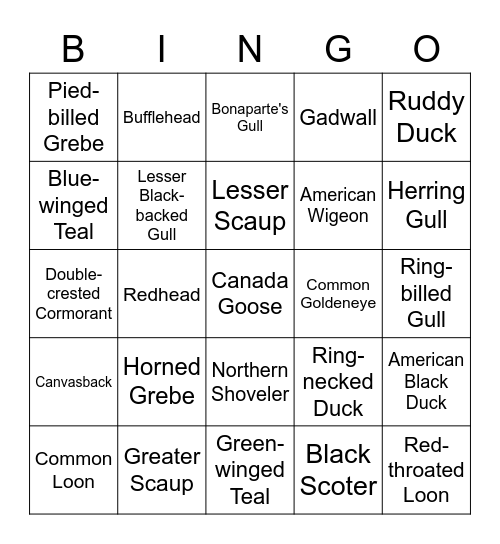Freshwater Bird Bingo (Birdgo) Bingo Card