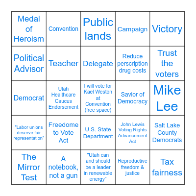 Demcrats for Democrats: The Bingo Card