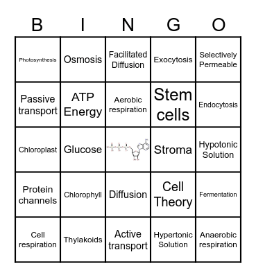 Unit 2 and 3 Vocabulary Bingo Card