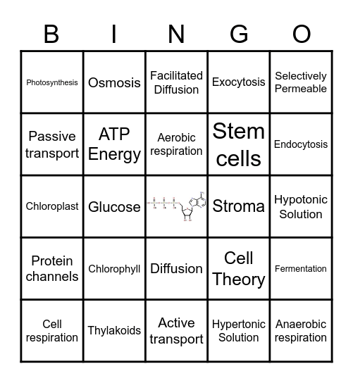 Unit 2 and 3 Vocabulary Bingo Card