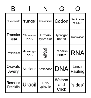 Unit 4 Vocabulary Bingo Card