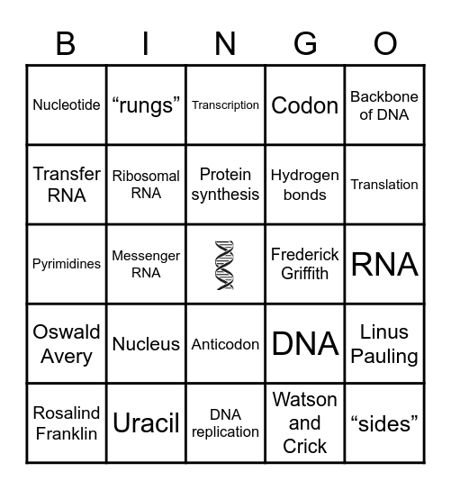 Unit 4 Vocabulary Bingo Card