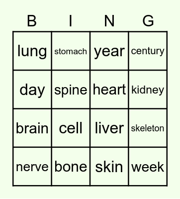 PERIODS OF TIME & INSIDE THE BODY Bingo Card