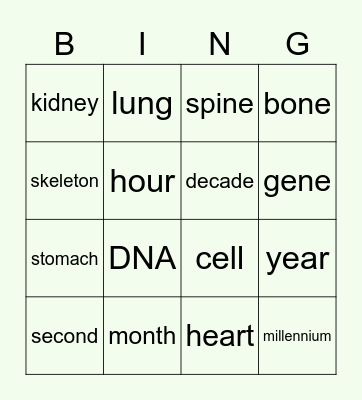 PERIODS OF TIME & INSIDE THE BODY Bingo Card