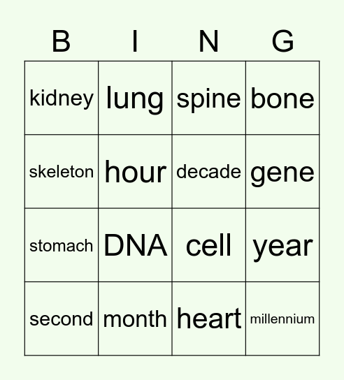 PERIODS OF TIME & INSIDE THE BODY Bingo Card