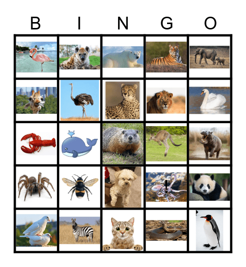 National Zoo Lover's Day Bingo Card