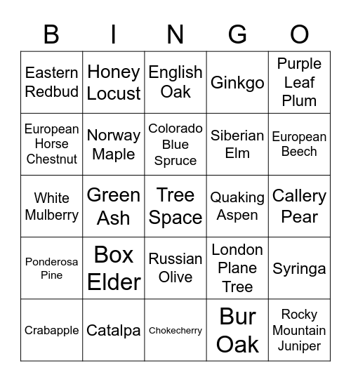 Tree Bingo Card