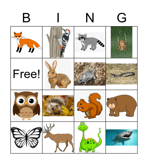 Seek First to Understand-one does not belong Bingo Card