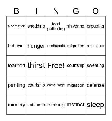 Animal Behavior Bingo Card