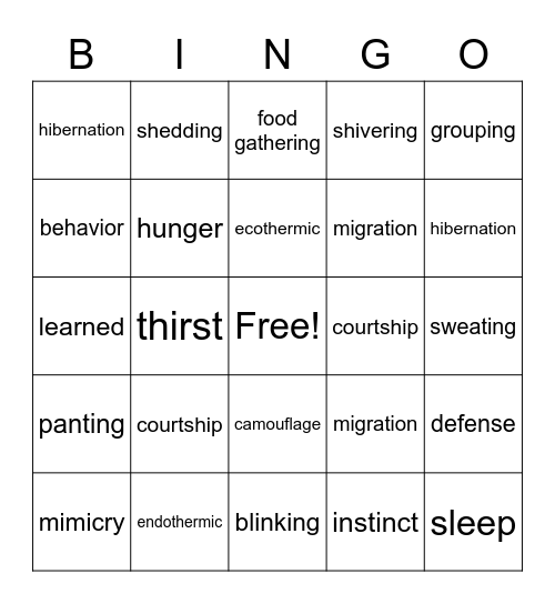 Animal Behavior Bingo Card