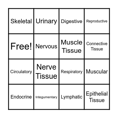 Human body systems Bingo Card