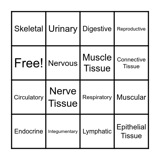 Human body systems Bingo Card