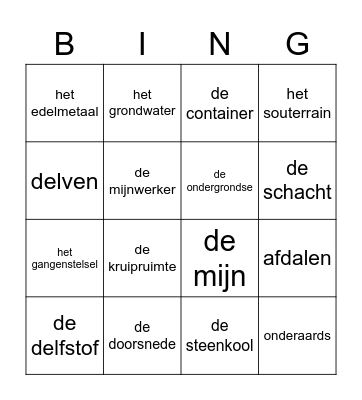 Woordenschat Bingo Card