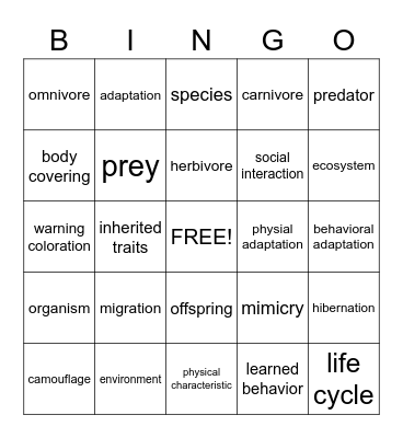 Adaptation Bingo Card