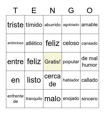 SER & ESTAR Vocabulary Bingo Card