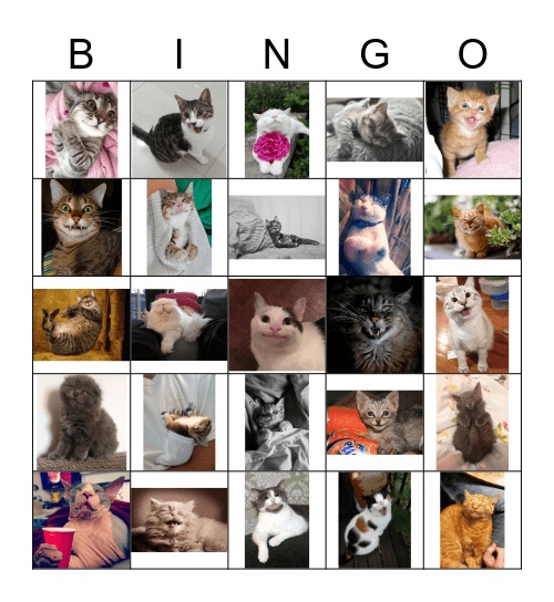 Smiling Cats! Theme by Ed Plato! Bingo Card