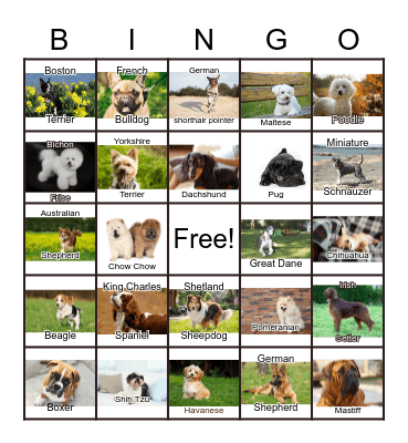 Dogs Bingo Card