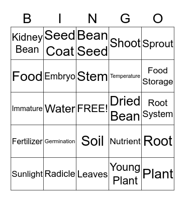 Beans Bingo Card