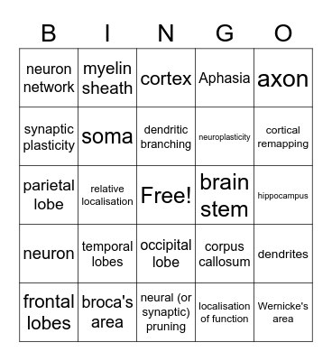 Brain Matters: Localisation of function and Neuroplasticity Bingo Card
