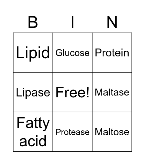 Digestion card Bingo Card