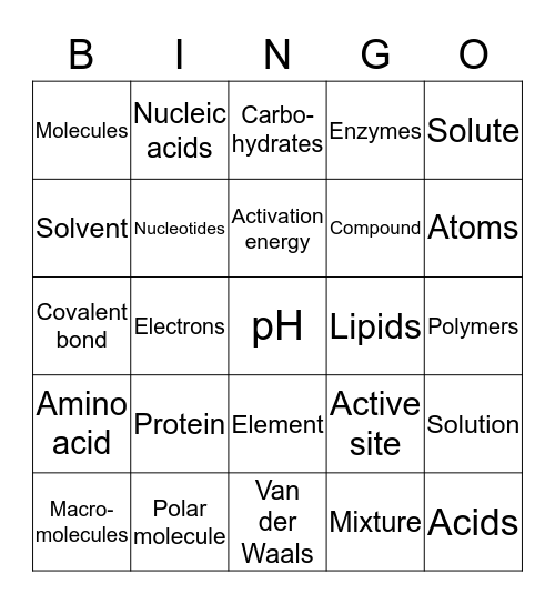 Biology Chapter 6 Vocabulary  Bingo Card