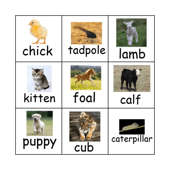 Animals and Young (LP) Bingo Card