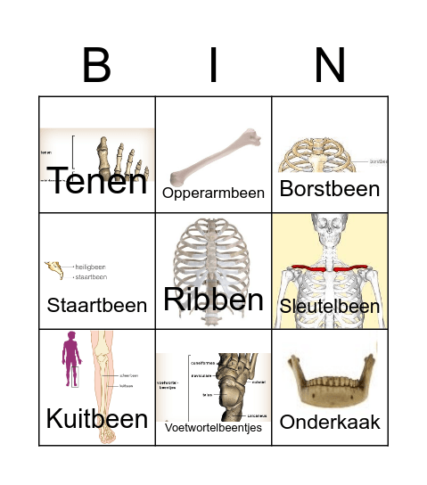 Botten Bingo Card