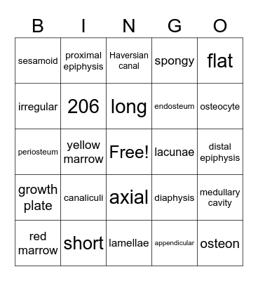 Skeletal B Bingo Card