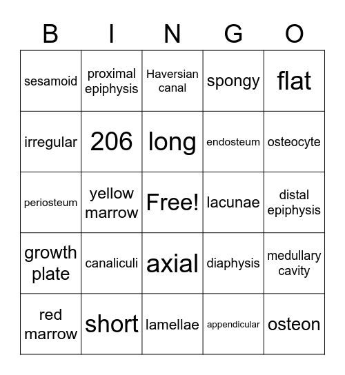 Skeletal B Bingo Card