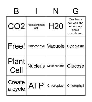 Cells, Photosynthesis, Cellular Respiration Bingo Card