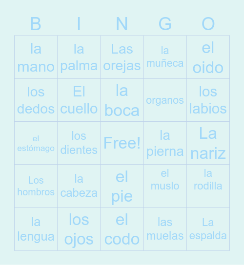 Partes del Cuerpo Bingo Card