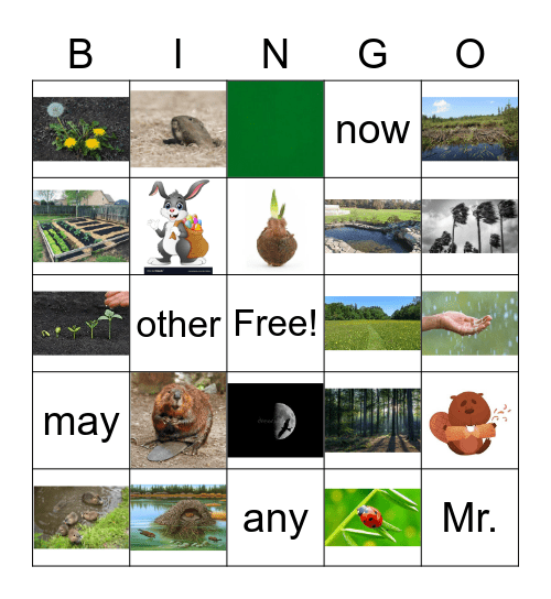 First grade group 1 Bingo Card